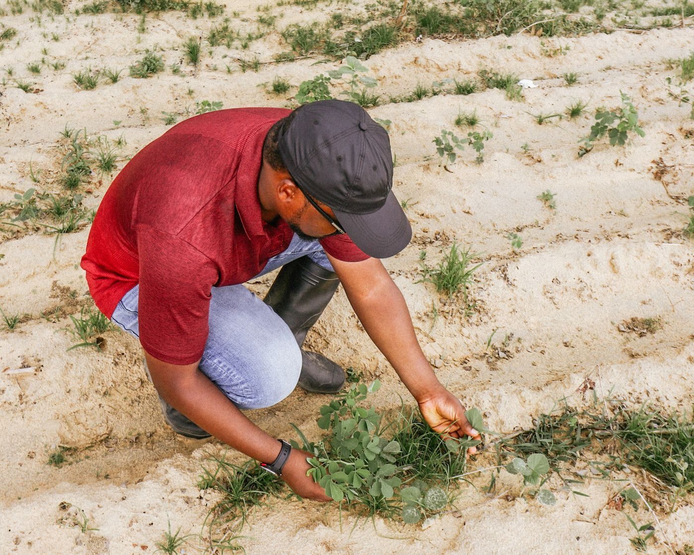 WAHI Agribusiness